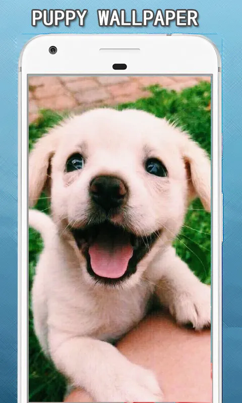 Cute Puppy Dog Wallpapers Hd | Indus Appstore | Screenshot