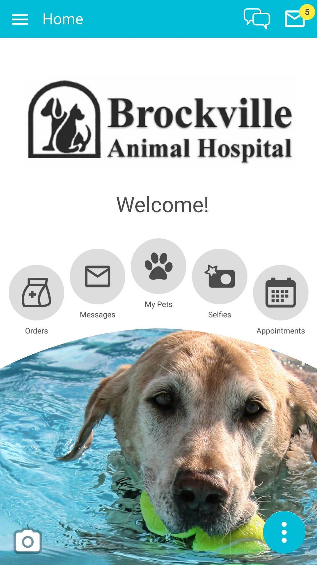 Brockville Vet | Indus Appstore | Screenshot