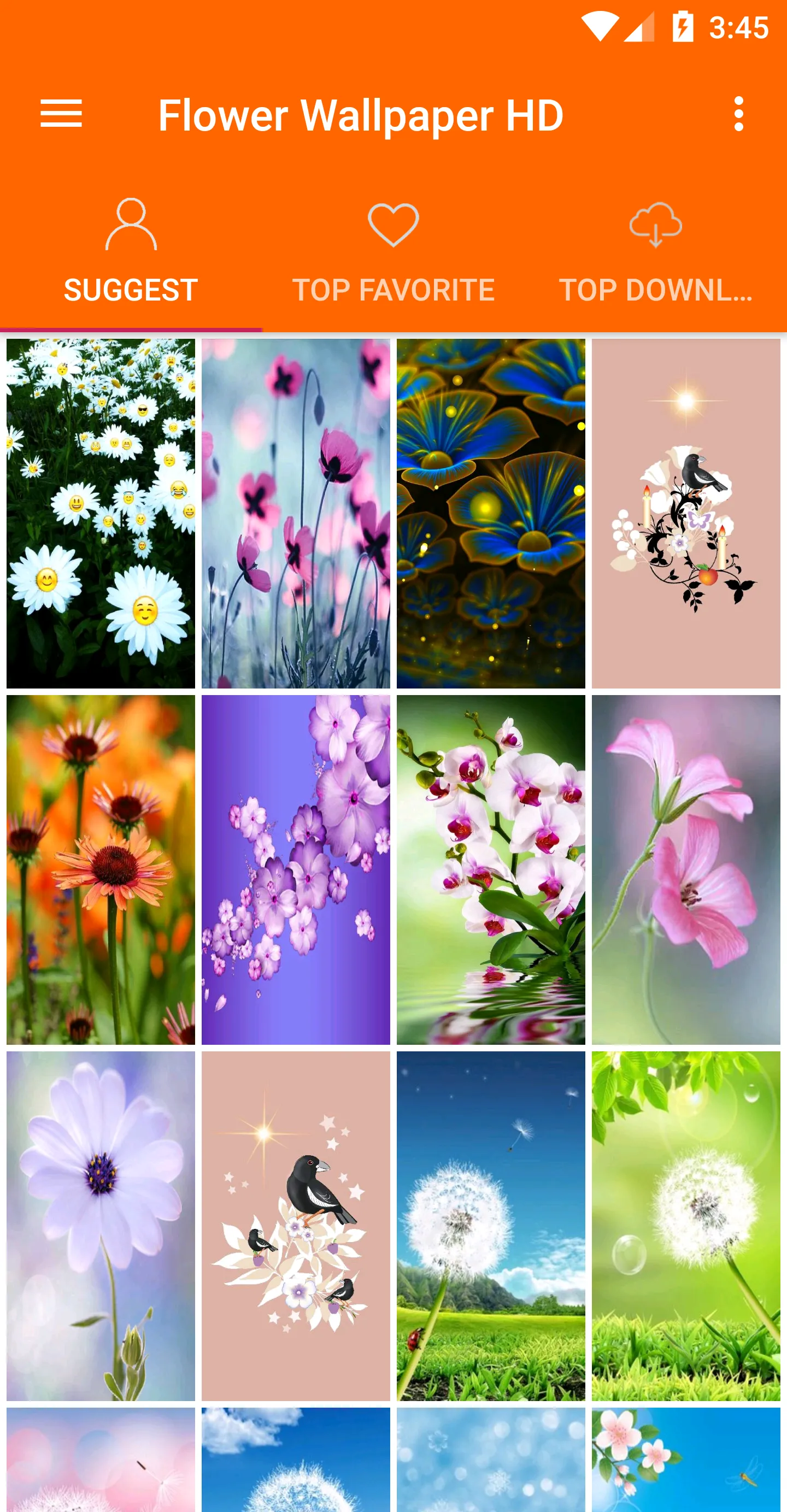 Flowers Wallpaper 4K | Indus Appstore | Screenshot