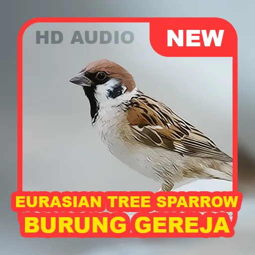 Bird: Eurasian Tree Sparrow | Indus Appstore | Screenshot