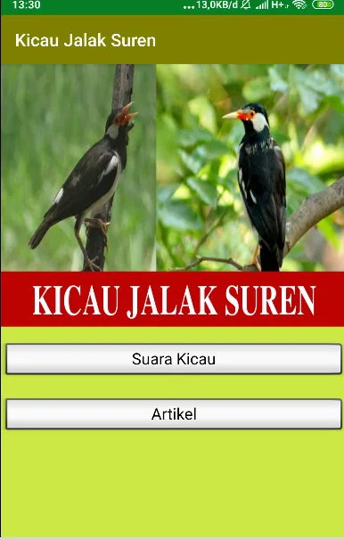 Suara Kicau Jalak Suren Gacor | Indus Appstore | Screenshot