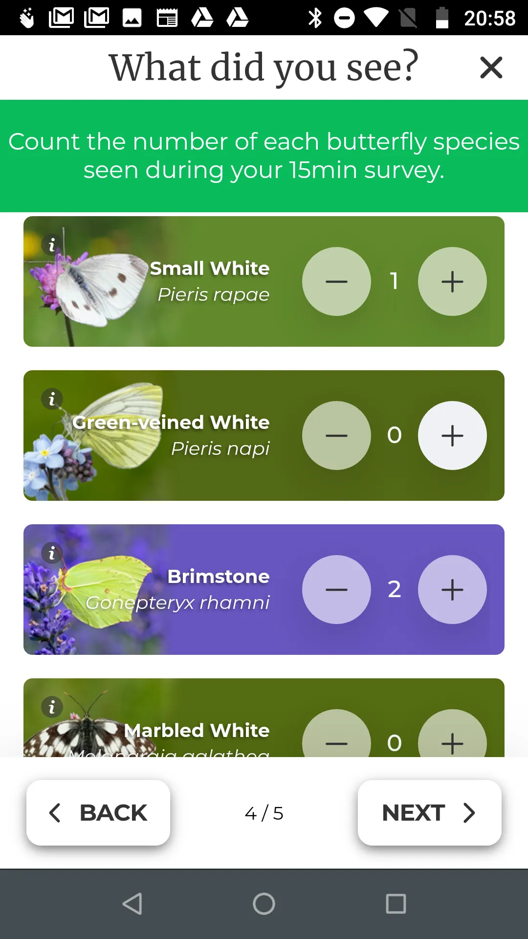 Big Butterfly Count | Indus Appstore | Screenshot