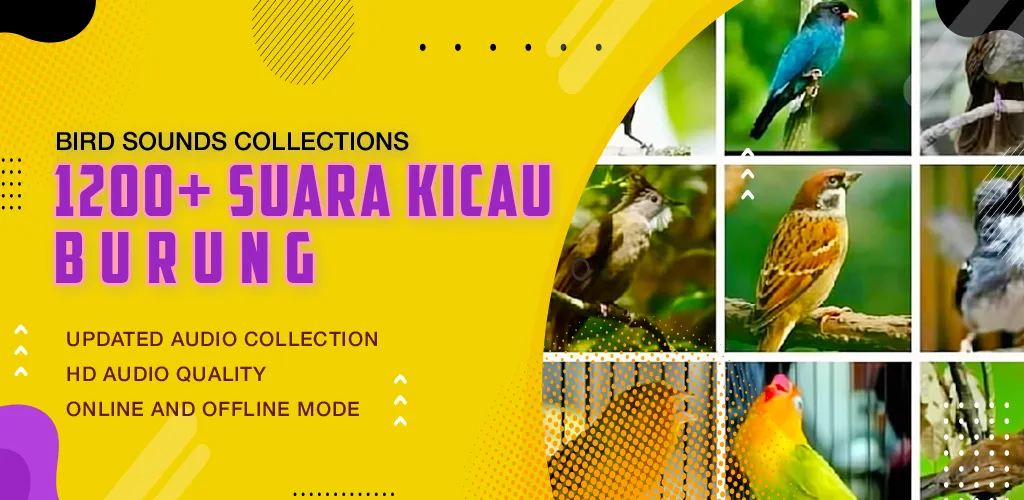 1200+ Suara Kicau Burung MP3 | Indus Appstore | Screenshot