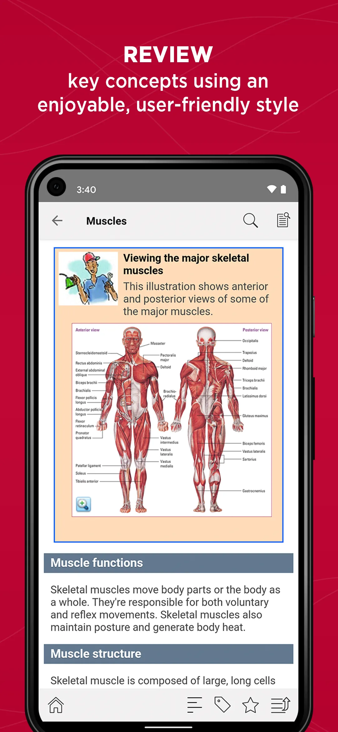 Anatomy & Physiology Made Easy | Indus Appstore | Screenshot