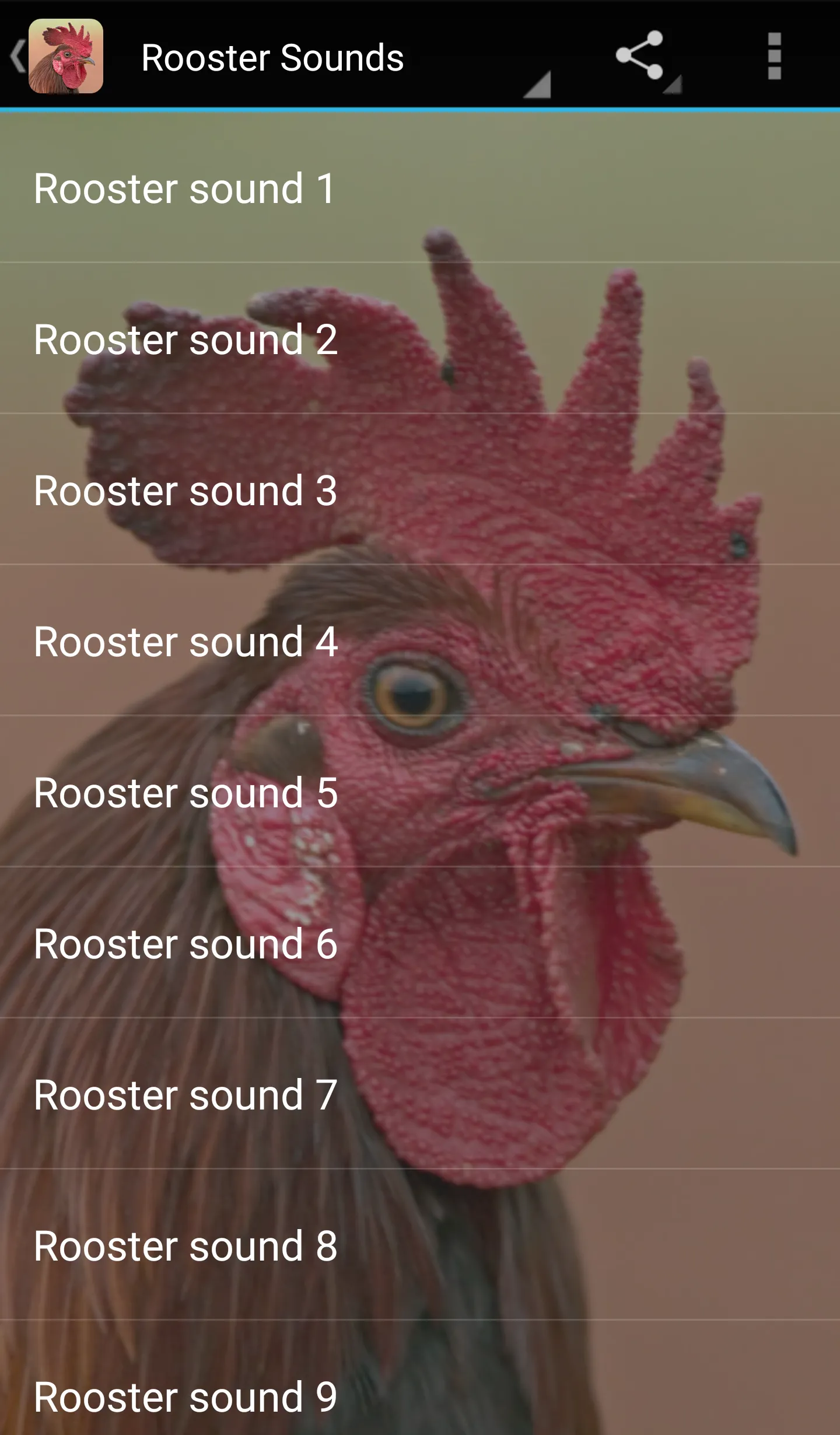 Rooster Sounds | Indus Appstore | Screenshot