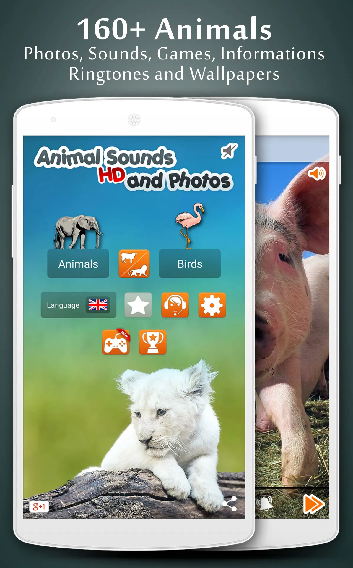 Animal Sounds | Indus Appstore | Screenshot