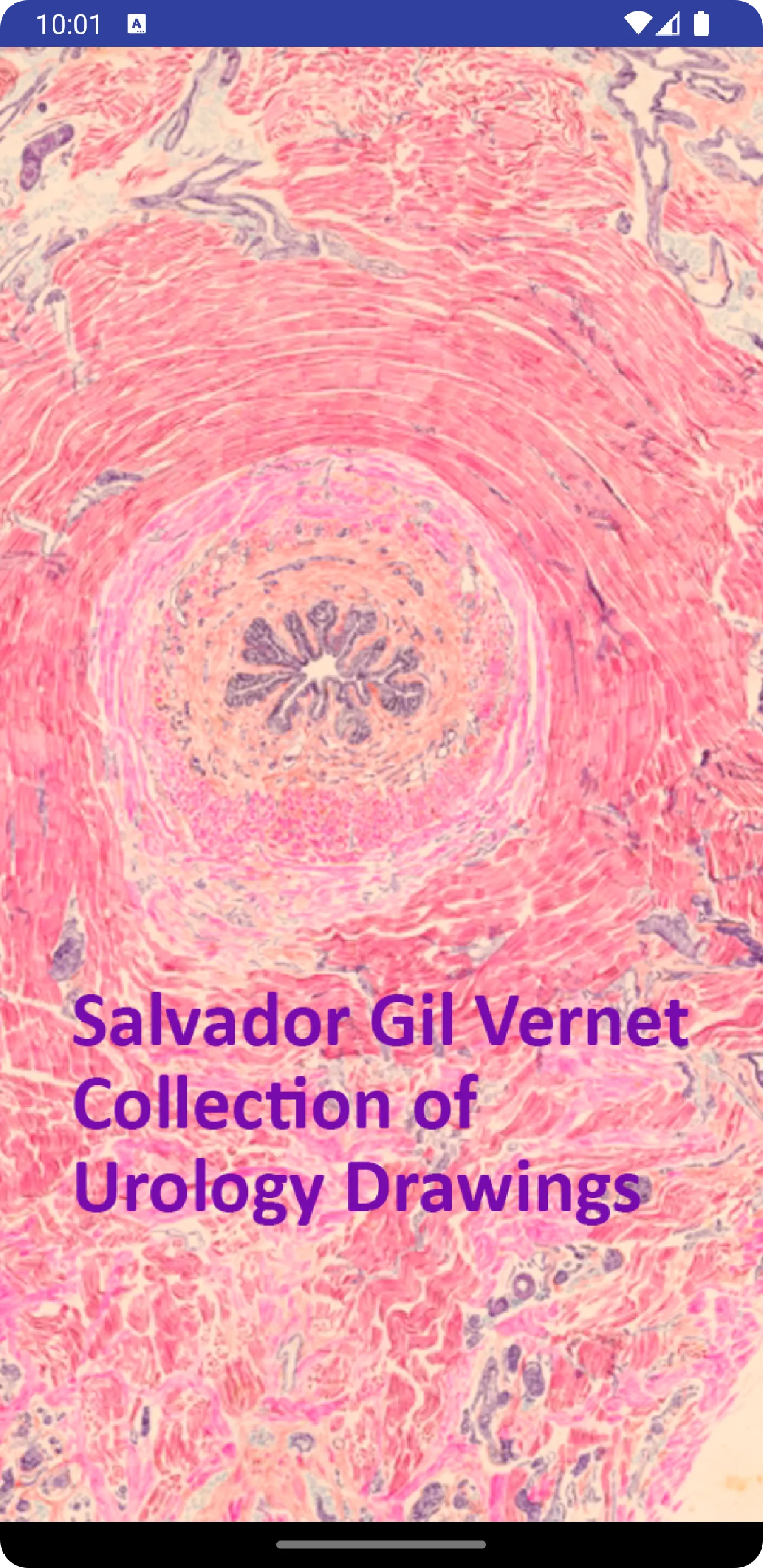 S. Gil Vernet | Indus Appstore | Screenshot