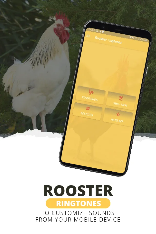 Rooster ringtones | Indus Appstore | Screenshot