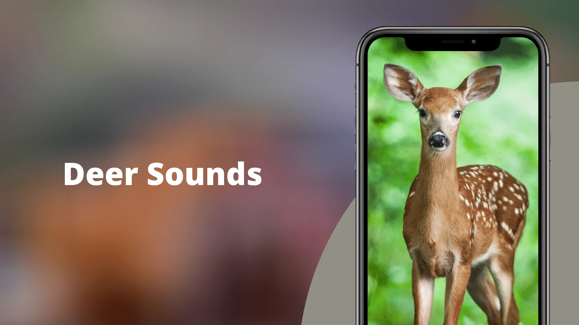 Deer sounds - Hunting Calls | Indus Appstore | Screenshot