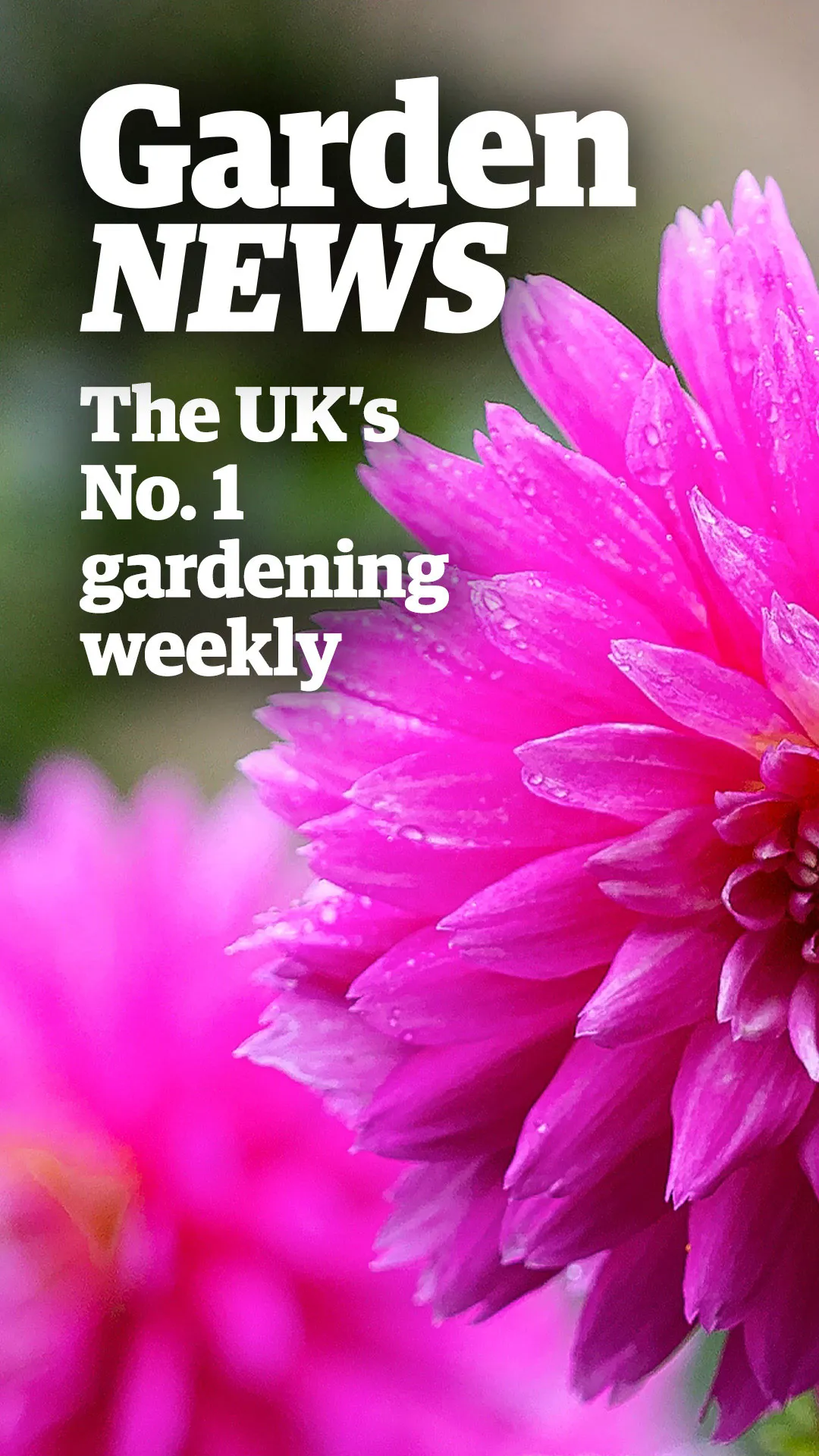 Garden News | Indus Appstore | Screenshot