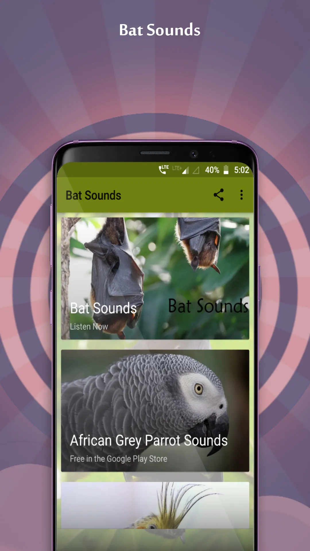 Bat Sounds | Indus Appstore | Screenshot