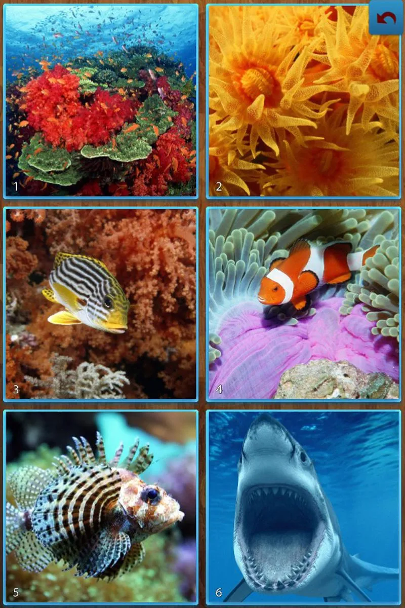 Sea Life Jigsaw Puzzles | Indus Appstore | Screenshot