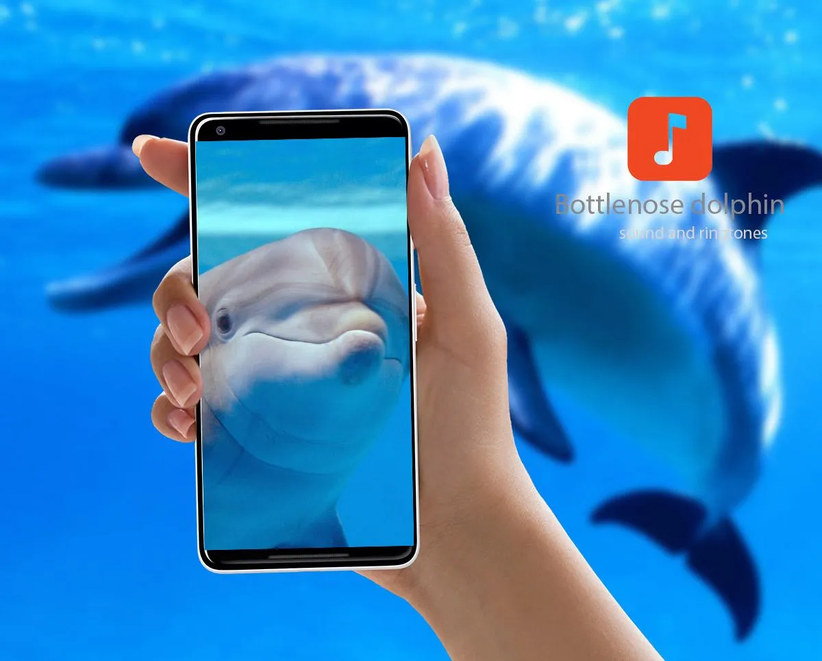 Bottlenose dolphin Sounds | Indus Appstore | Screenshot