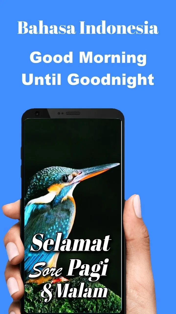 Indonesian Morning to Night | Indus Appstore | Screenshot