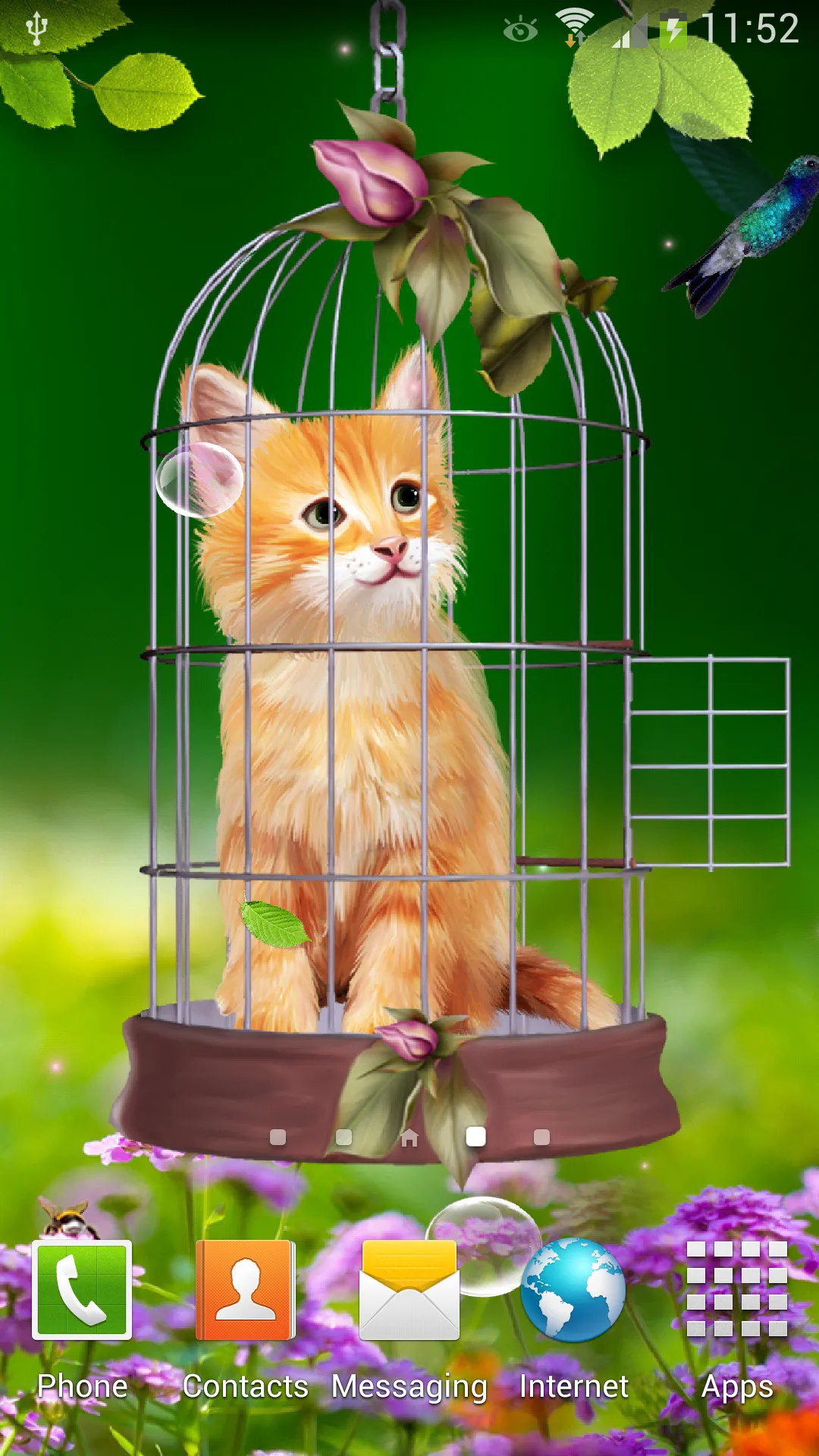 Cat and Hummingbirds Wallpaper | Indus Appstore | Screenshot