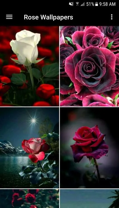 Rose Wallpaper | Indus Appstore | Screenshot