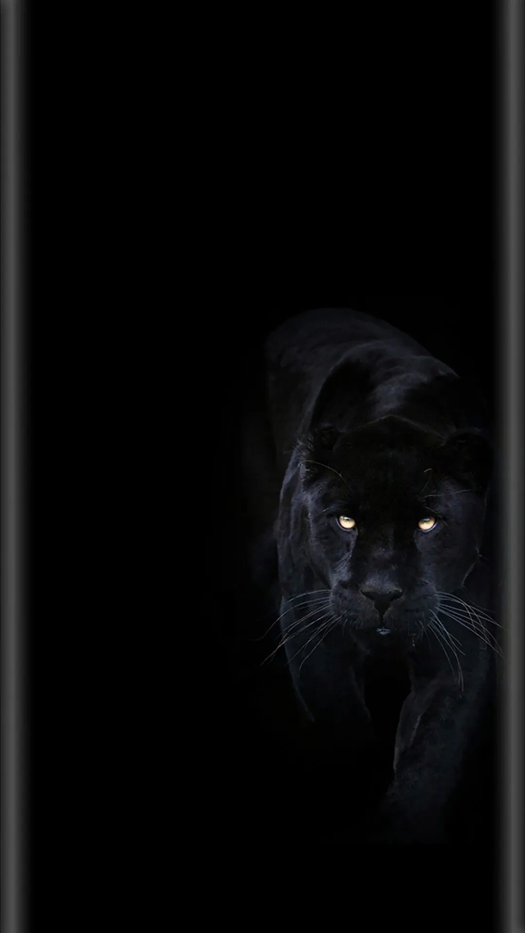 Border Light Wallpaper | Indus Appstore | Screenshot