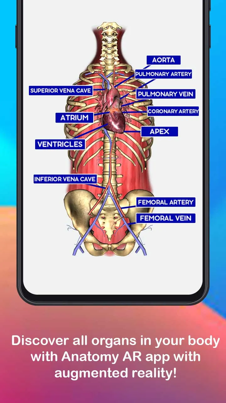 Anatomy AR 4D - Virtual TShirt | Indus Appstore | Screenshot