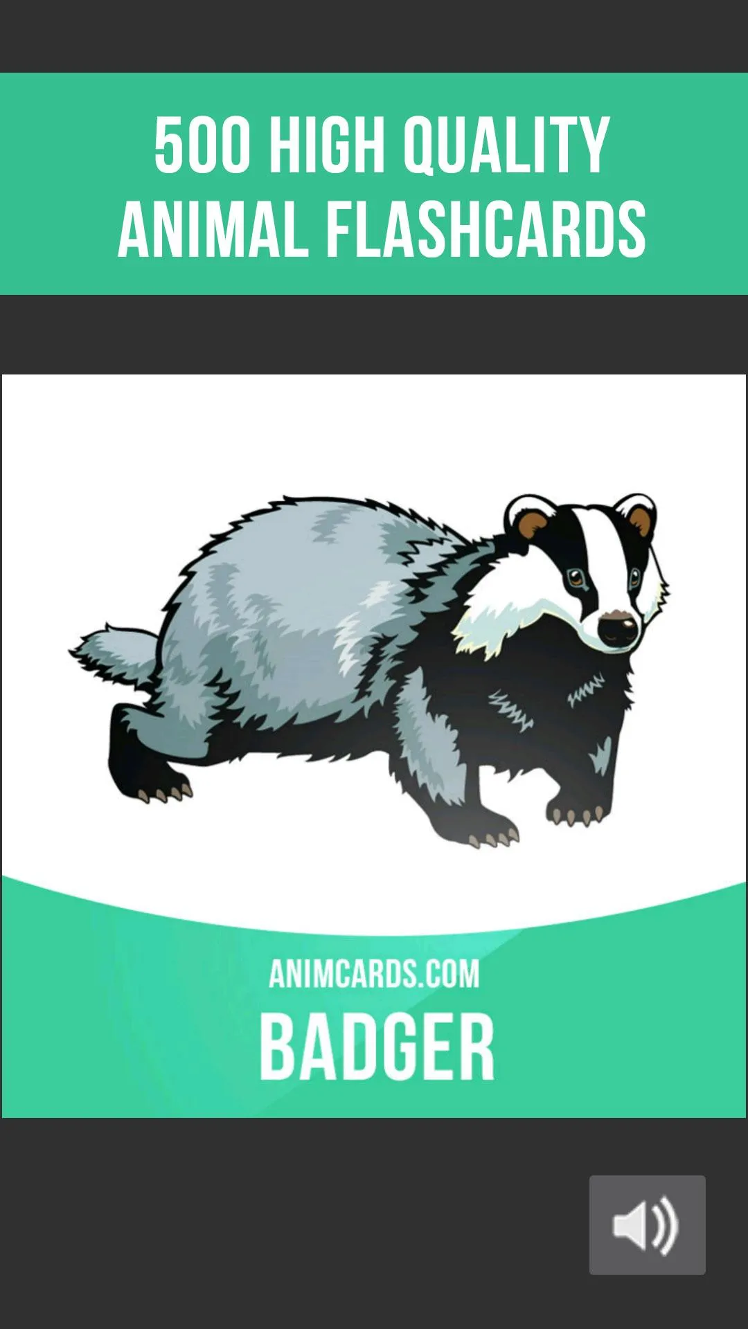 Animals Cards: Learn Animals i | Indus Appstore | Screenshot