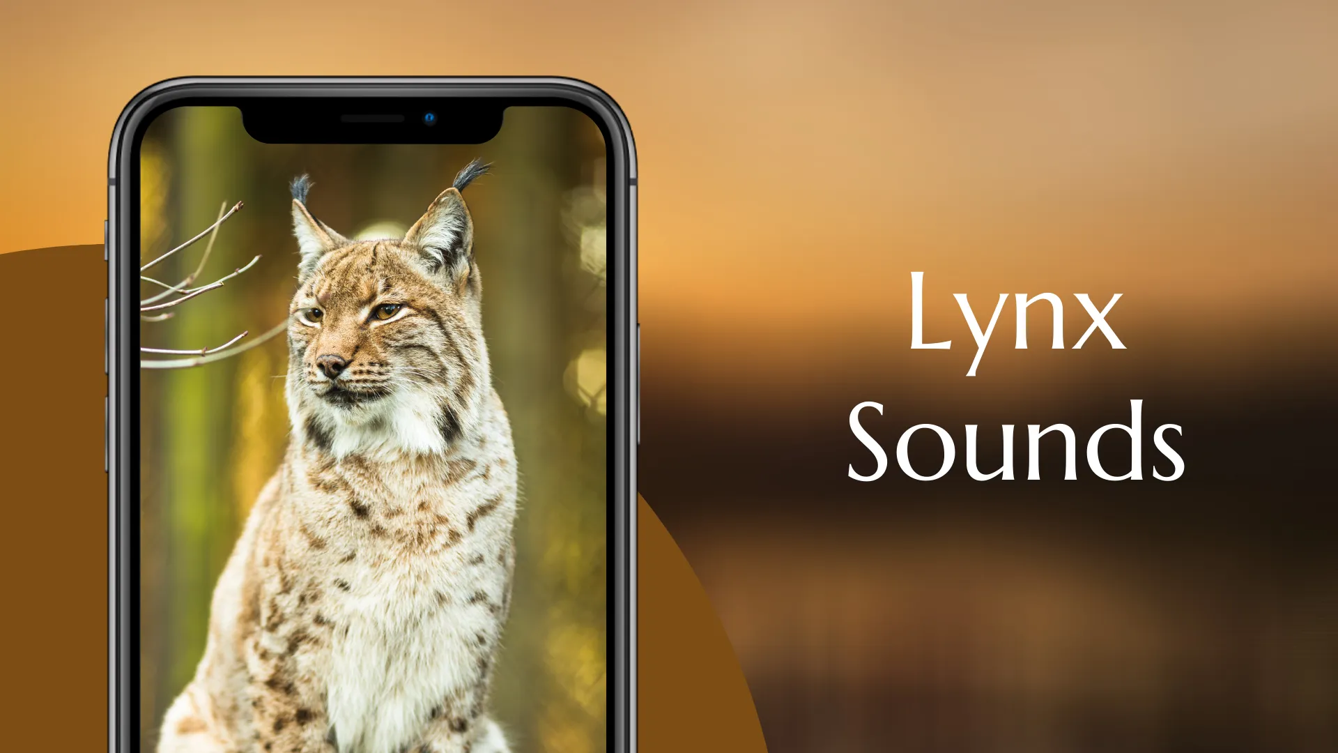 Lynx sounds | Indus Appstore | Screenshot