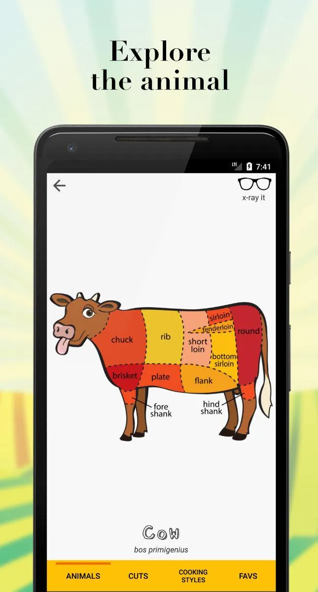 Nose to Tail: Cuts of Meat | Indus Appstore | Screenshot