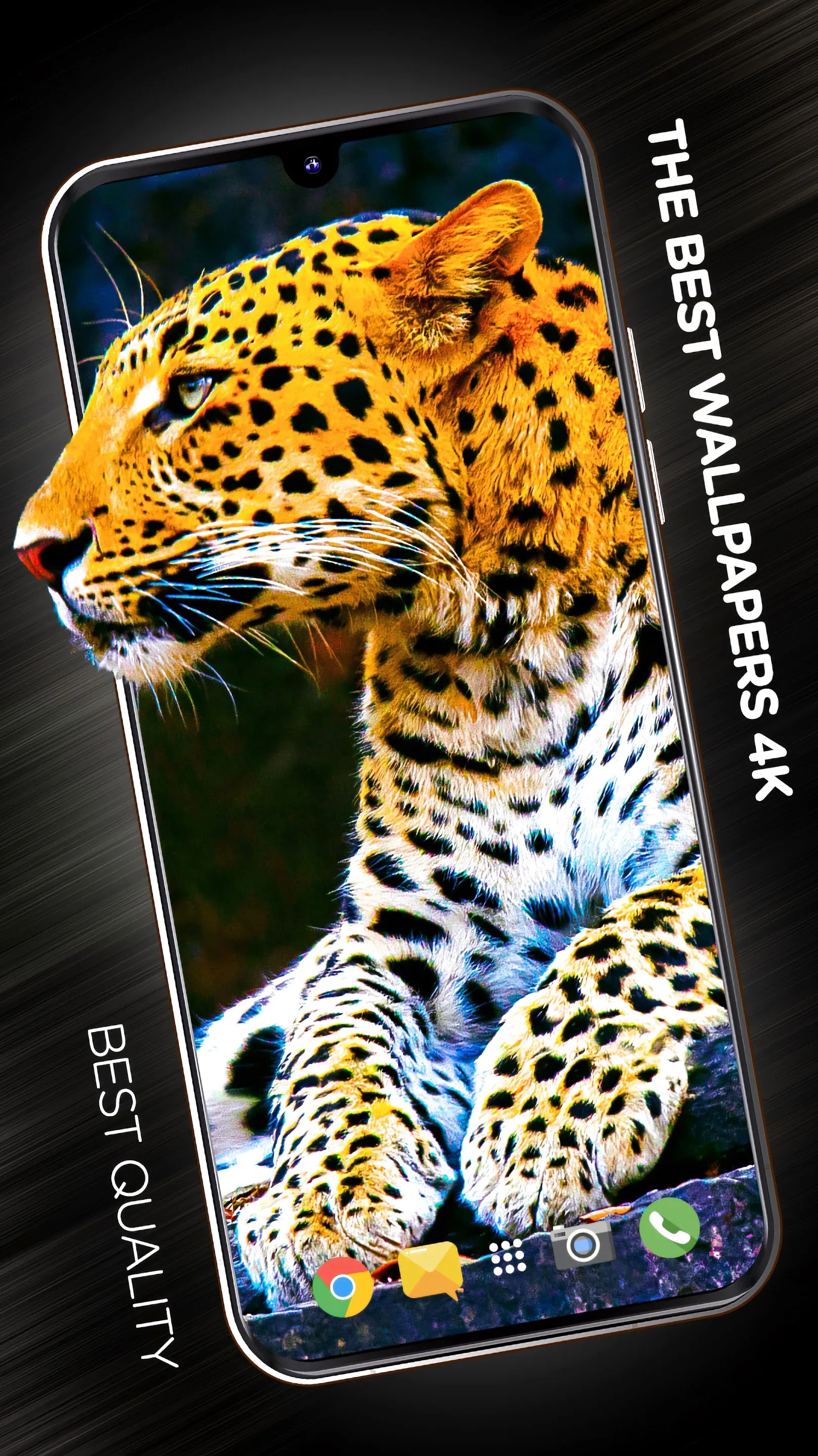 Animals Wallpapers for phone | Indus Appstore | Screenshot