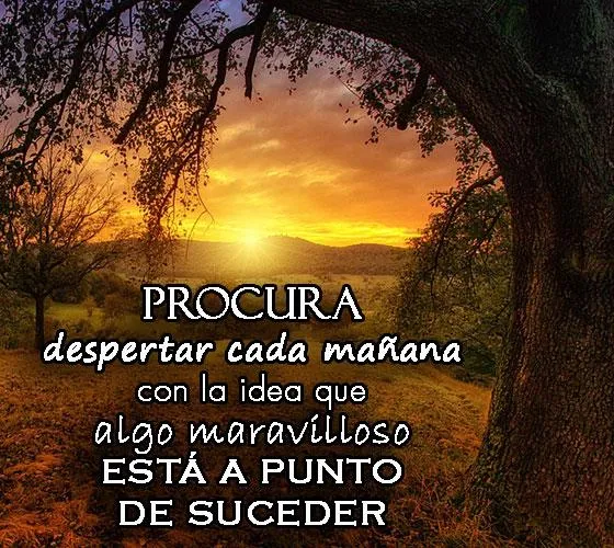 Lindas Reflexiones Positivas | Indus Appstore | Screenshot