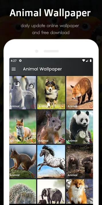 Animal HD wallpaper | Indus Appstore | Screenshot