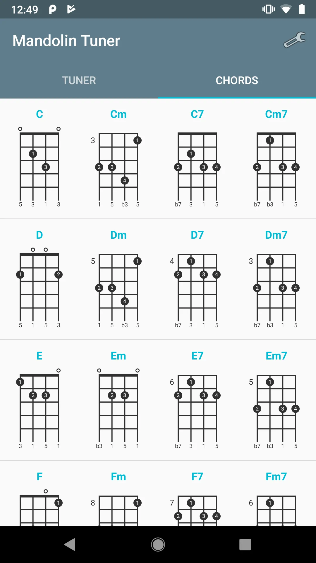 Mandolin Tuner | Indus Appstore | Screenshot