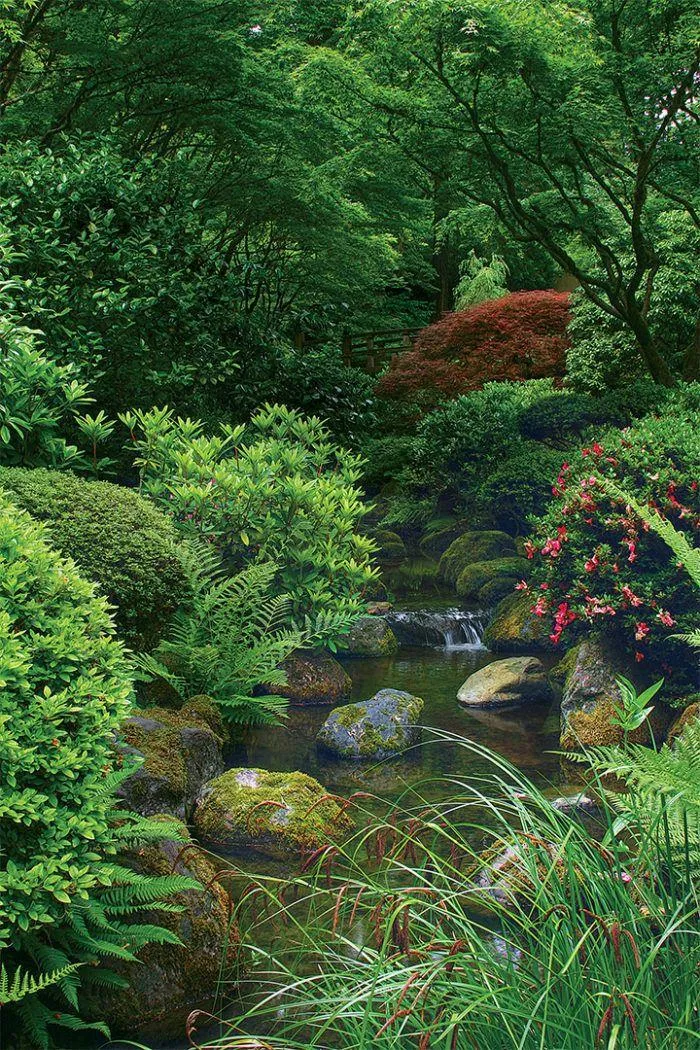 Japanese Garden | Indus Appstore | Screenshot