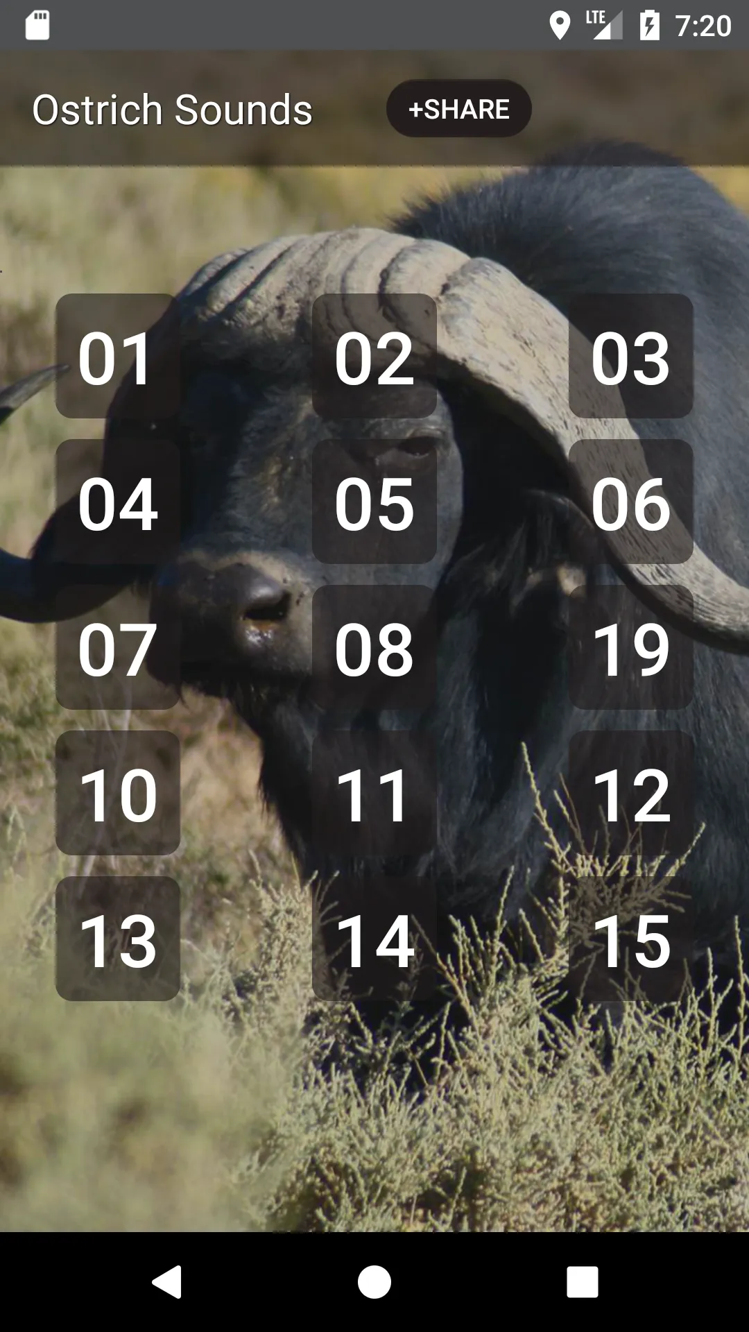 Buffalo & Bison Sounds | Indus Appstore | Screenshot