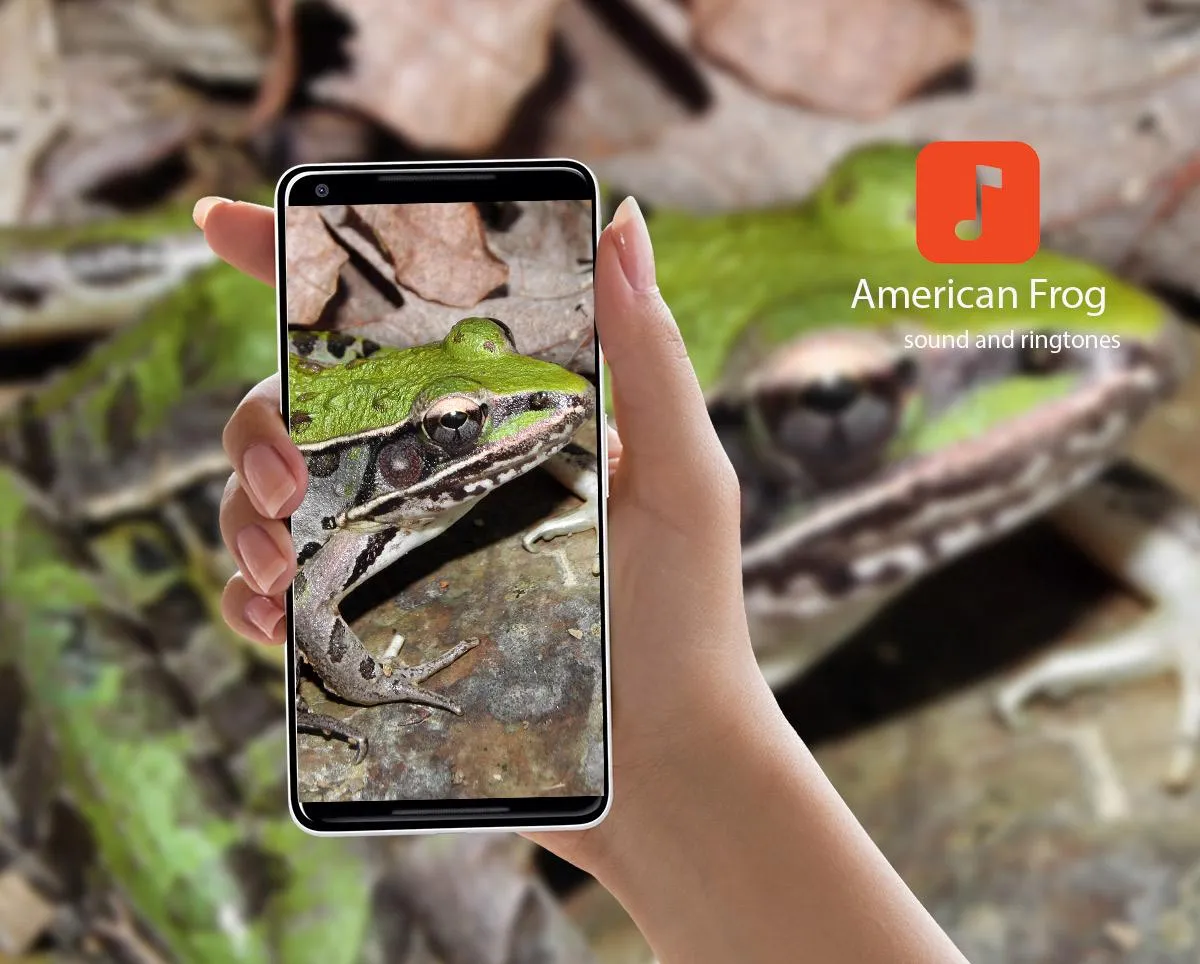 American Frog Sounds | Indus Appstore | Screenshot