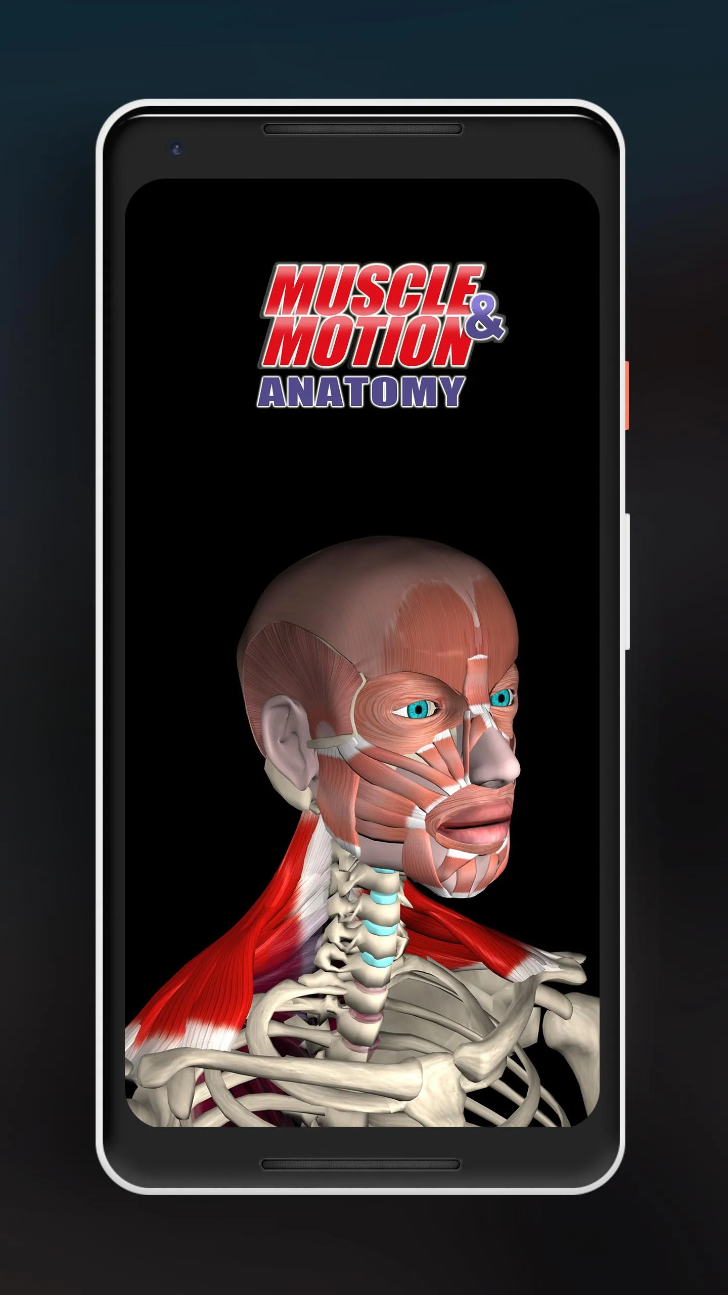 Anatomy by Muscle & Motion | Indus Appstore | Screenshot