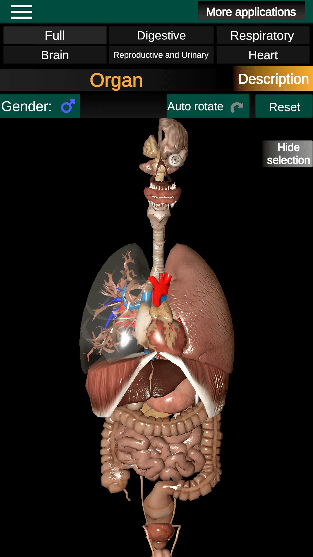 Internal Organs in 3D Anatomy | Indus Appstore | Screenshot