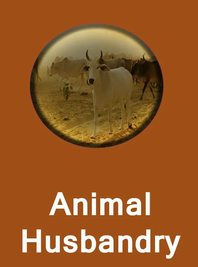 Animal Husbandry Tips | Indus Appstore | Screenshot