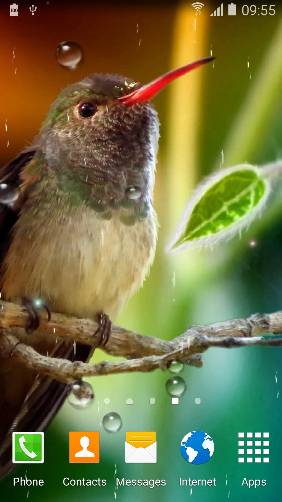 Hummingbirds Live Wallpaper | Indus Appstore | Screenshot