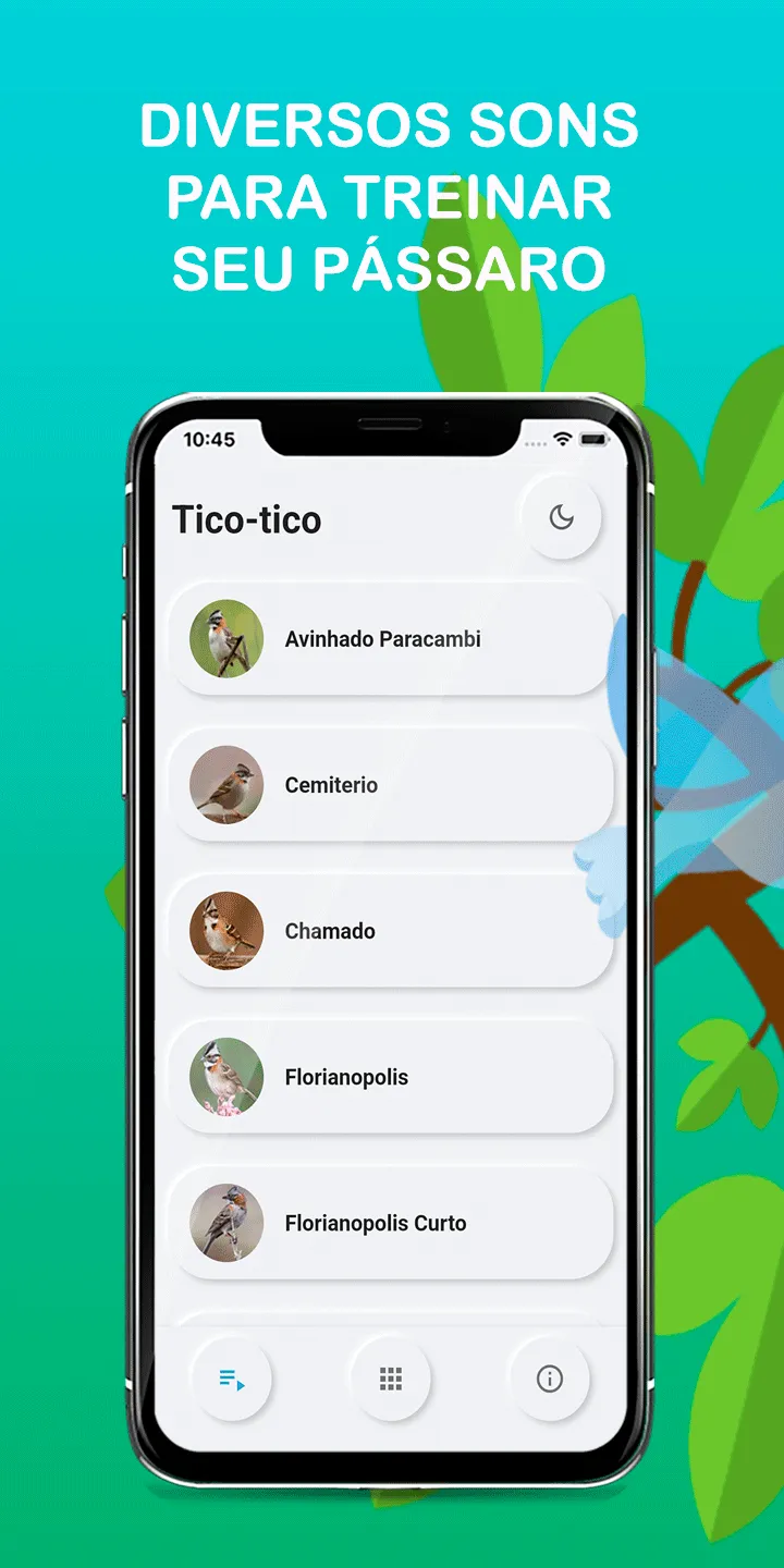 Bird songs of TicoTico | Indus Appstore | Screenshot