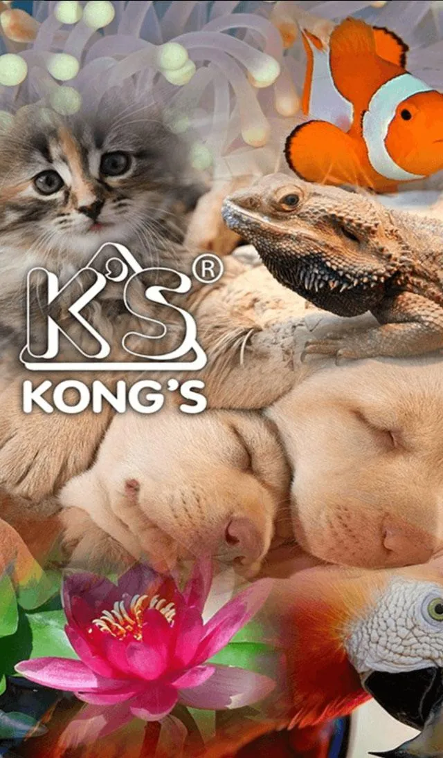 Kongs Australia | Indus Appstore | Screenshot