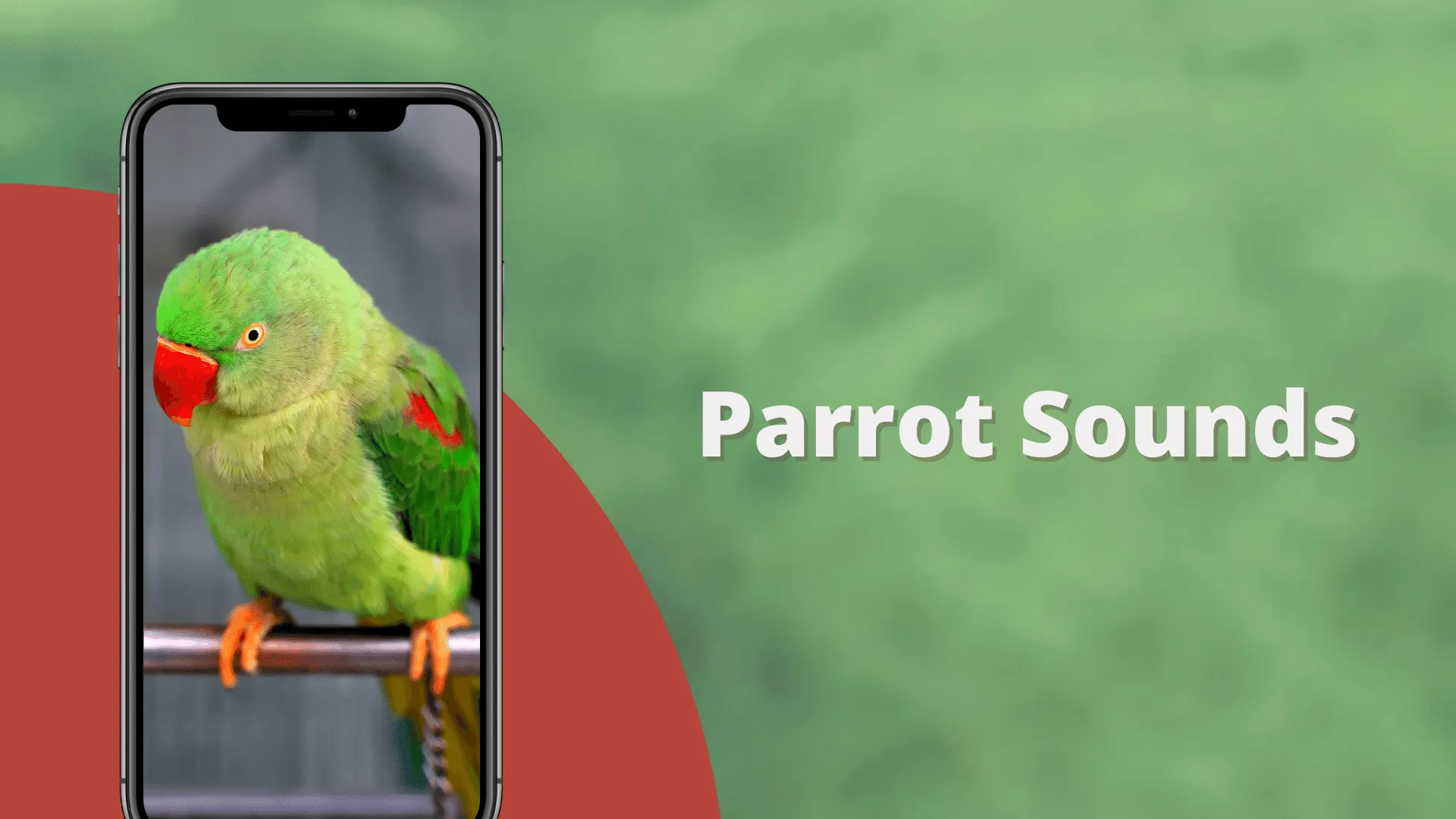 Parrot Sounds | Indus Appstore | Screenshot