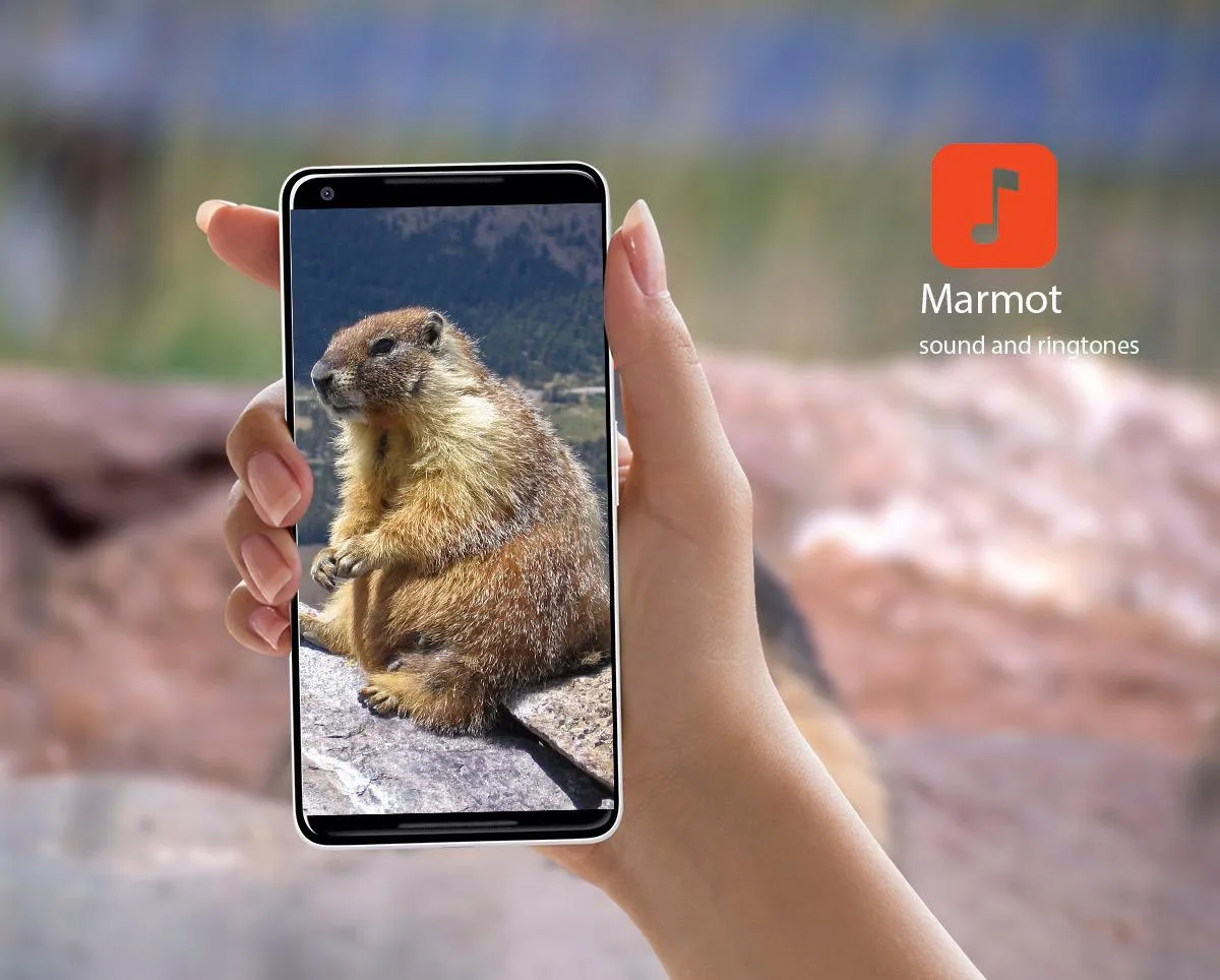 Marmot Sounds | Indus Appstore | Screenshot