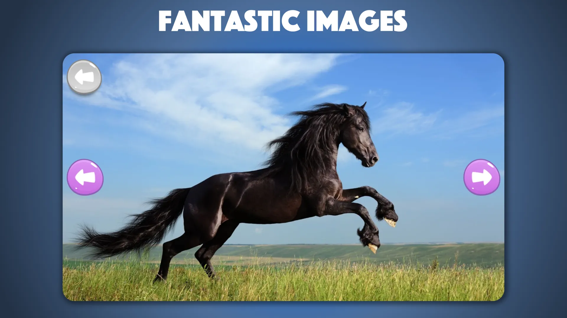 Horse and Pony jigsaw puzzles | Indus Appstore | Screenshot