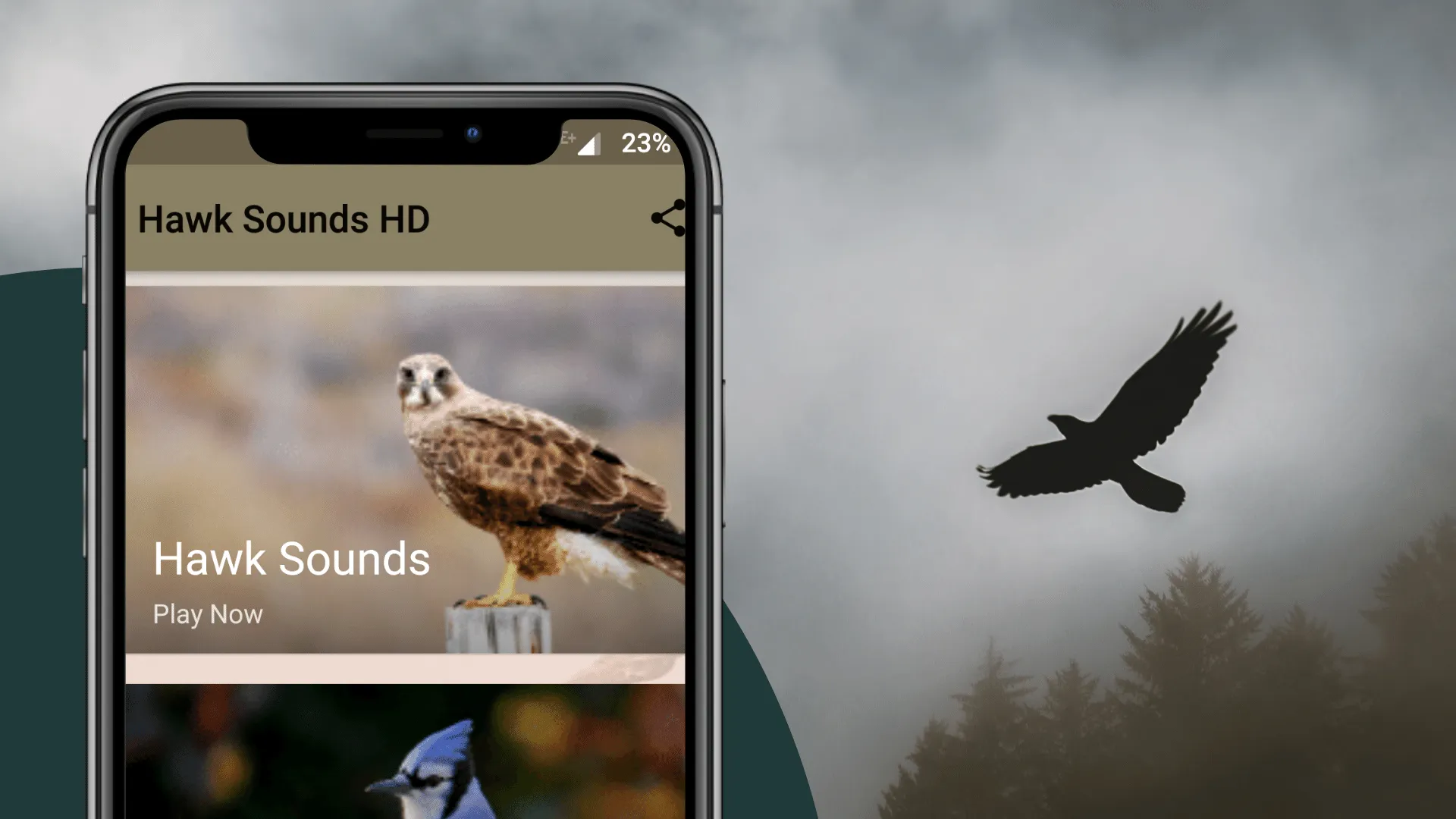 Hawk Sounds | Indus Appstore | Screenshot