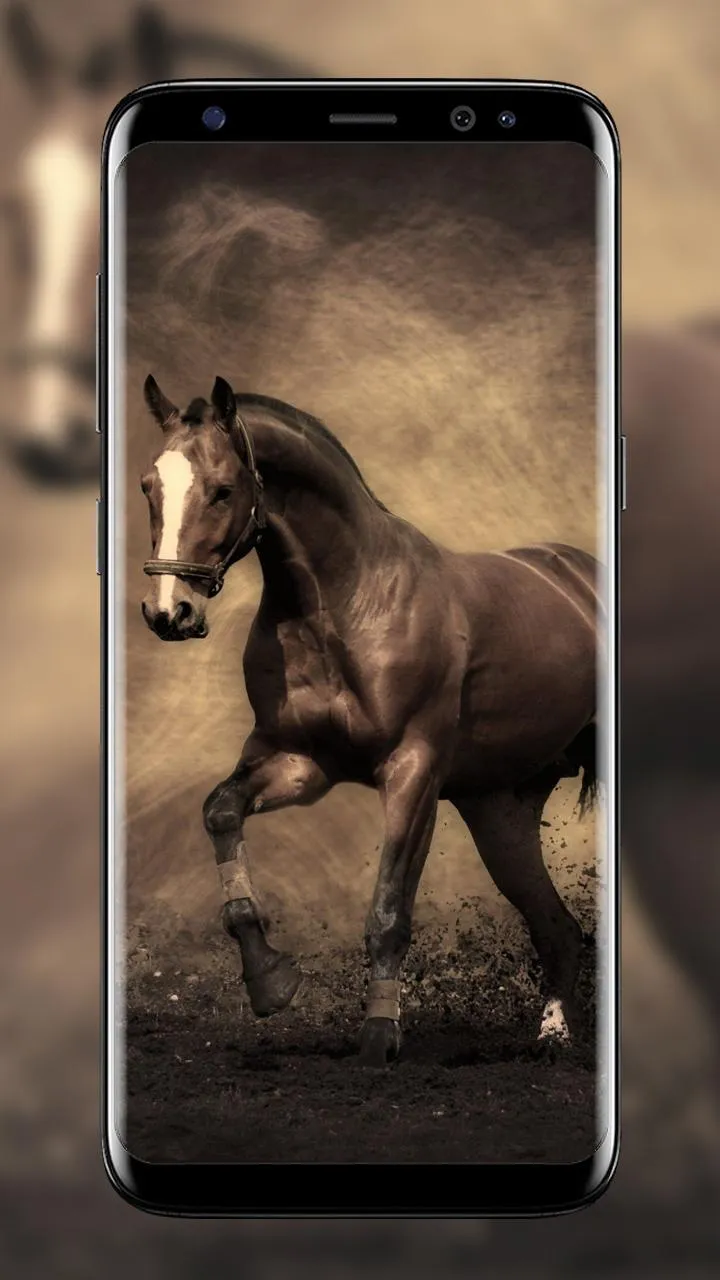 Horse Wallpapers | Indus Appstore | Screenshot