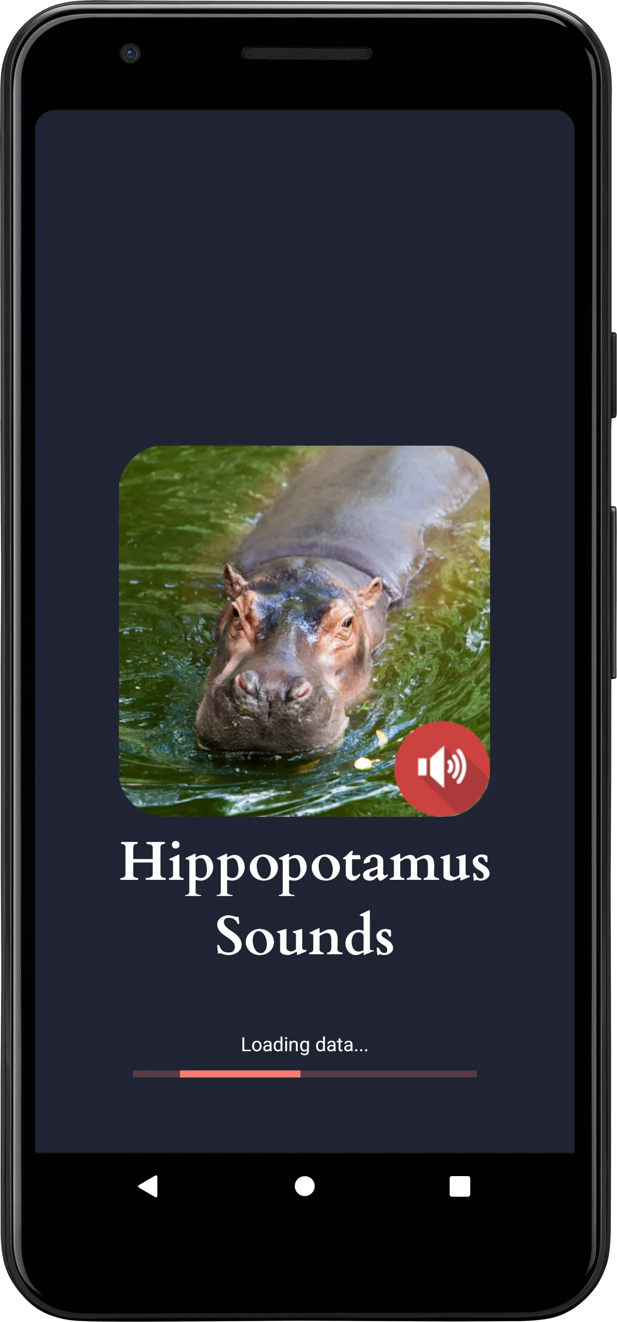 Hippopotamus Sounds | Indus Appstore | Screenshot