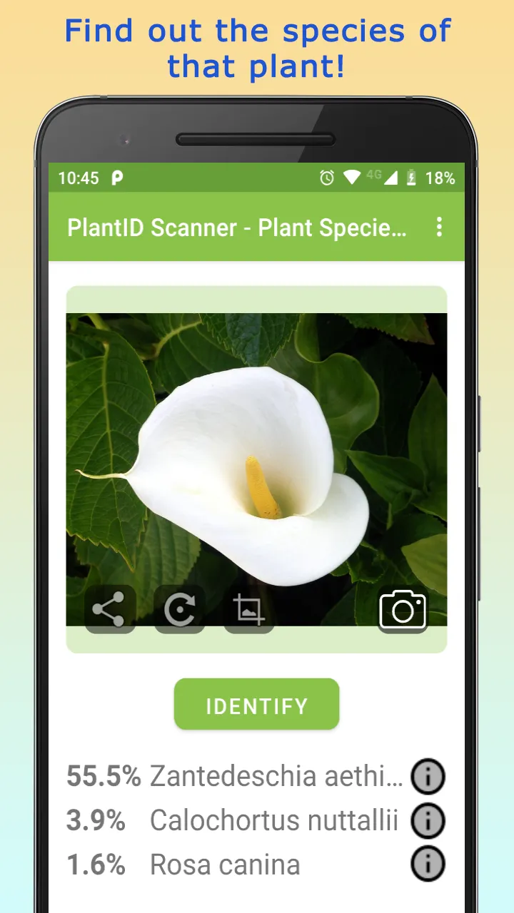 PlantID - Identify Plants | Indus Appstore | Screenshot