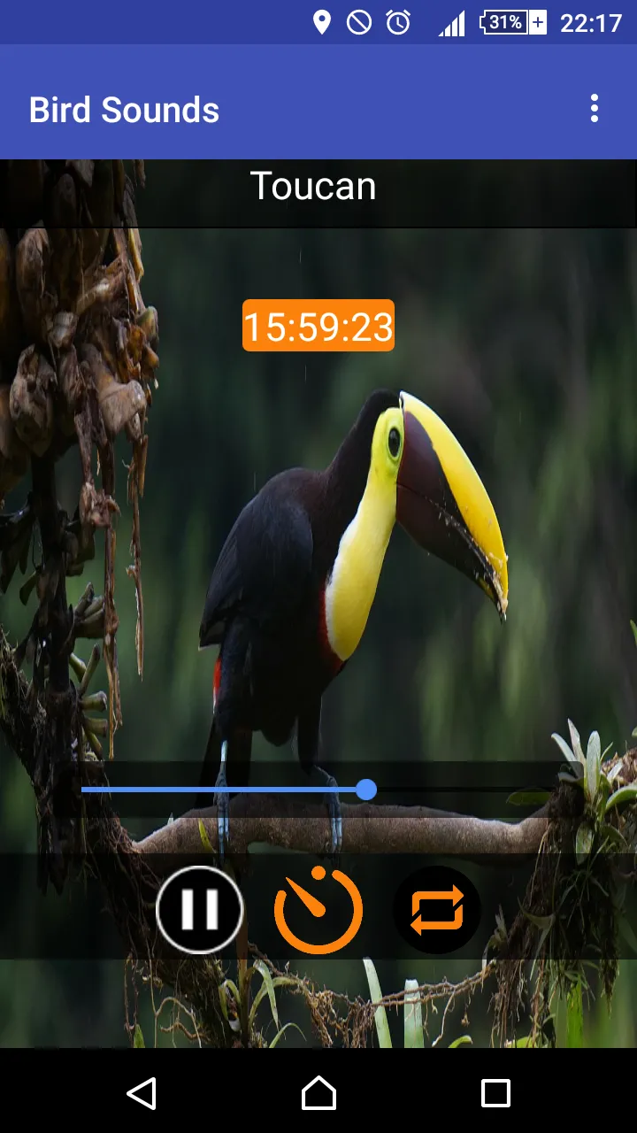 Relax & Sleep with Bird Sounds | Indus Appstore | Screenshot