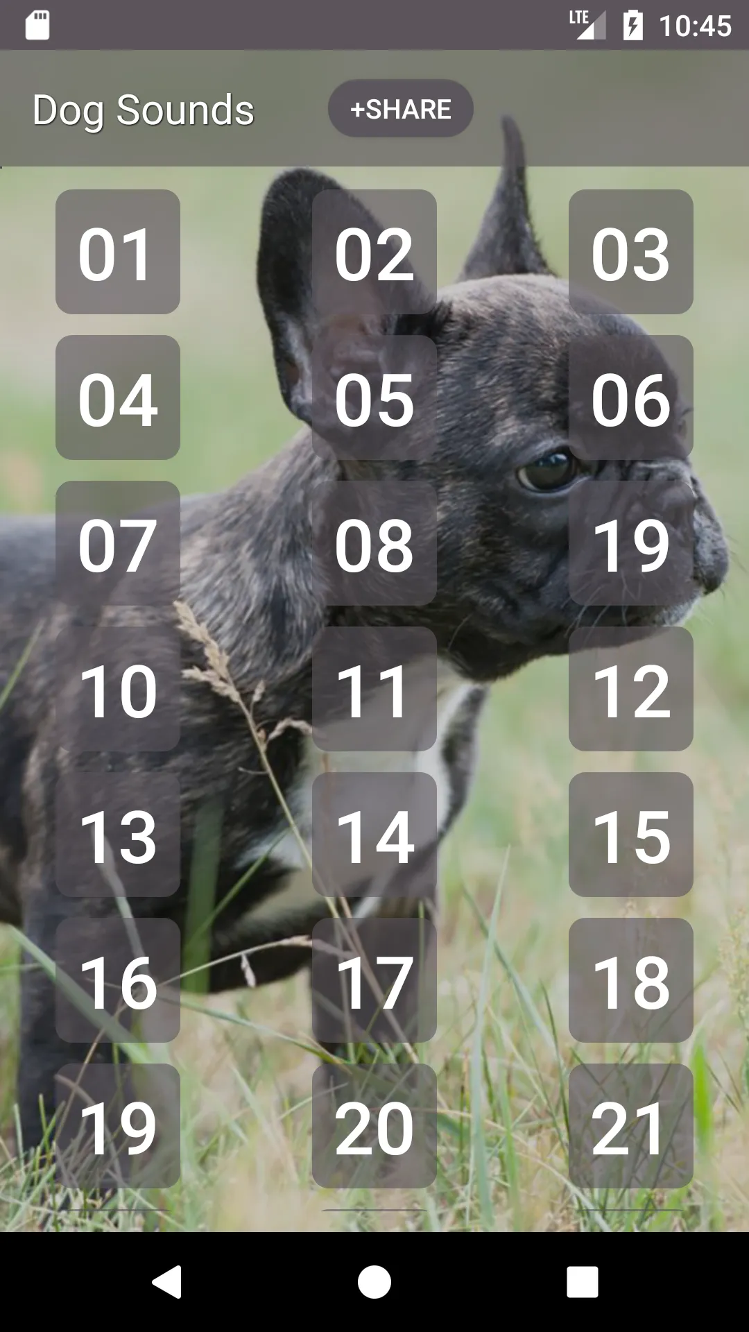 Dog Soundboard | Indus Appstore | Screenshot