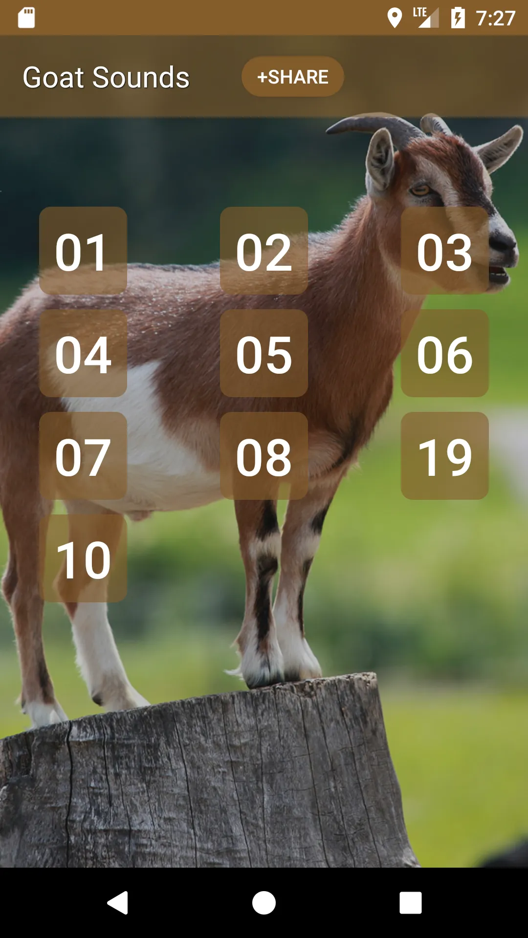 Goat Sounds | Indus Appstore | Screenshot