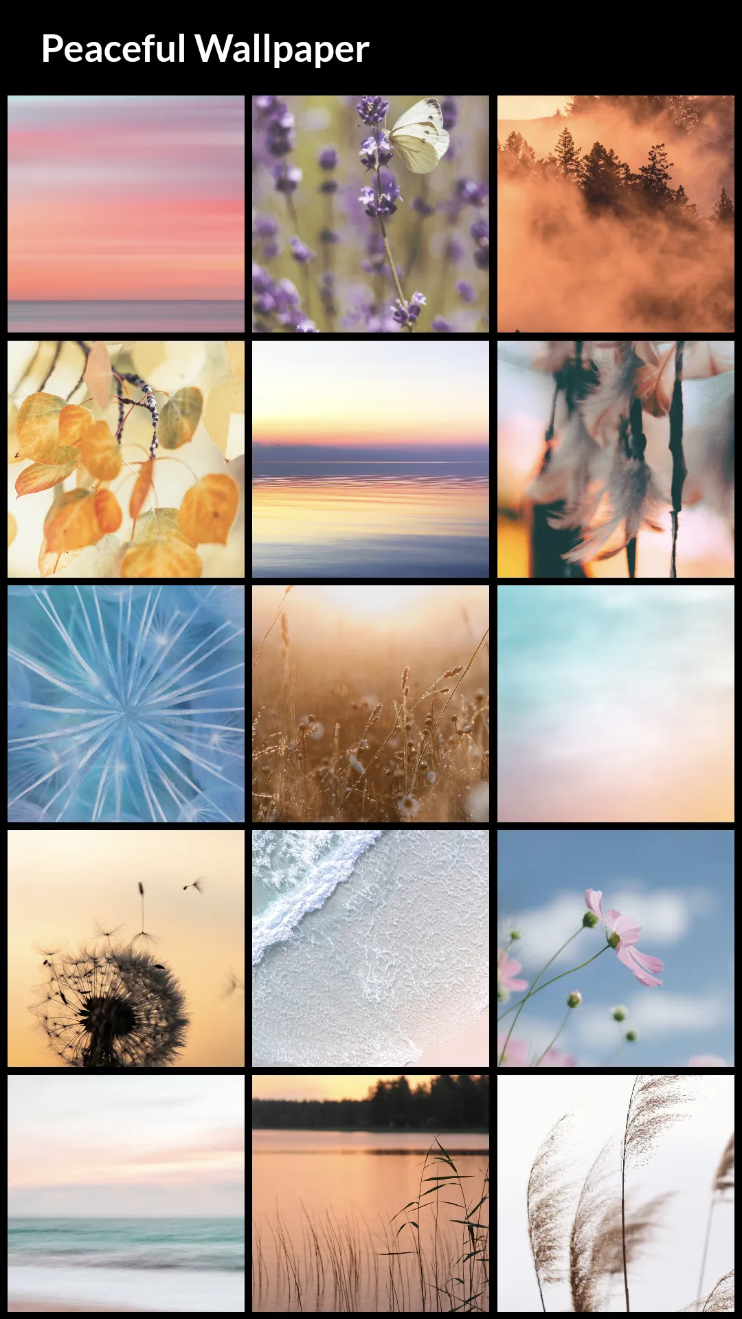 Peaceful Wallpapers | Indus Appstore | Screenshot