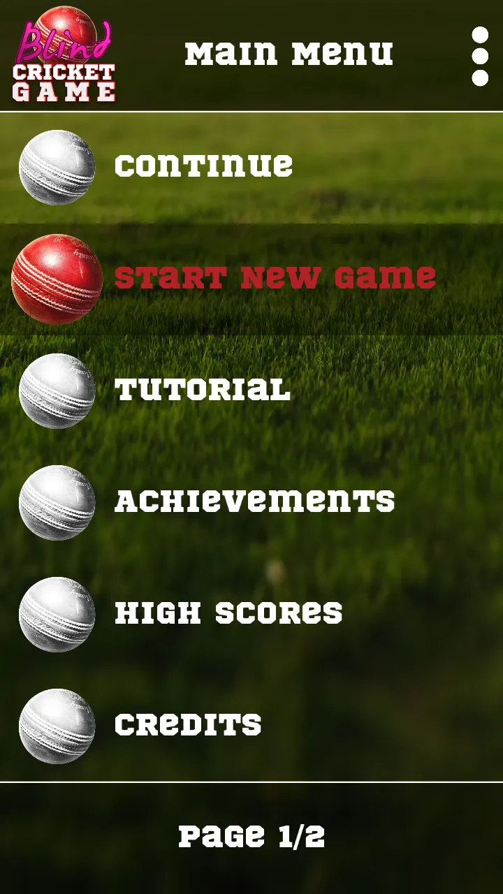 Blind Cricket | Indus Appstore | Screenshot